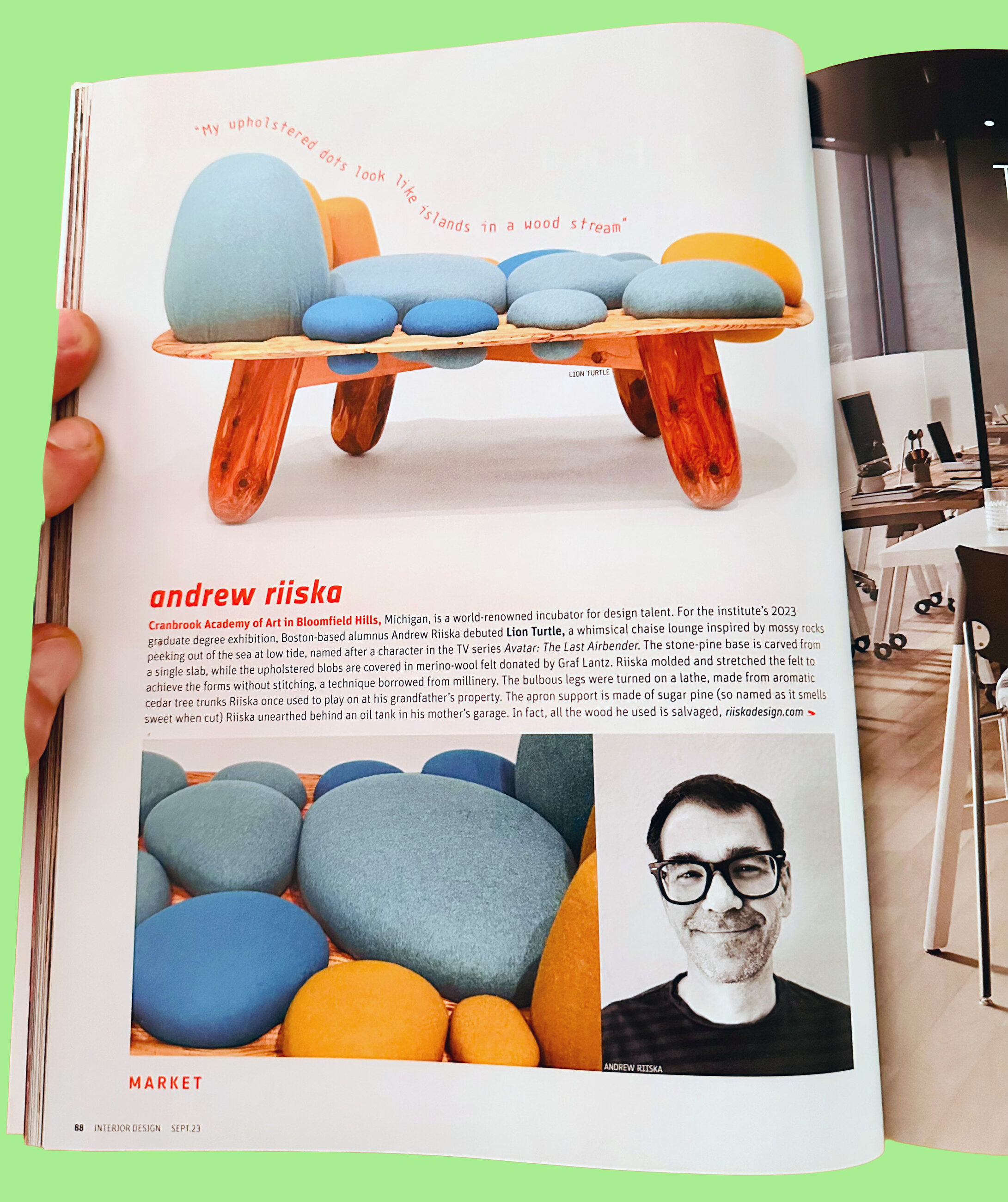 Market, page 88, Lion Turtle feature